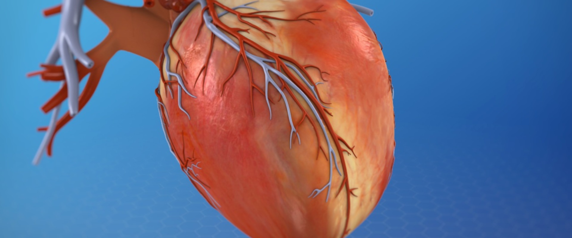 Understanding Heart Disease: Causes, Symptoms, and Treatment