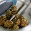 Legality of Recreational Marijuana in the US