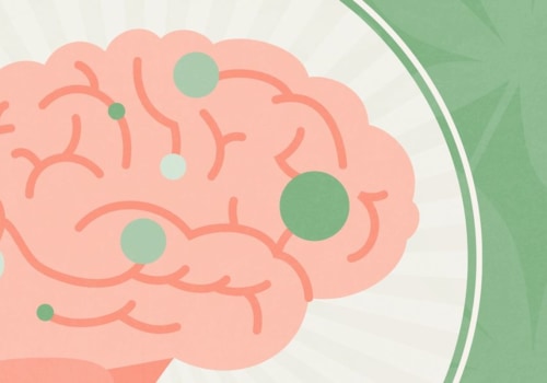 The Neurological Benefits of CBD and THC